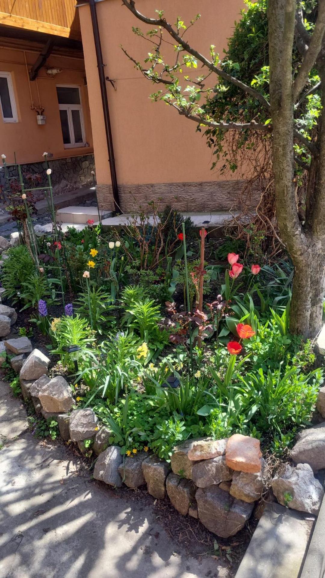 John Residence Apartment Brasov With Parking Option Bagian luar foto